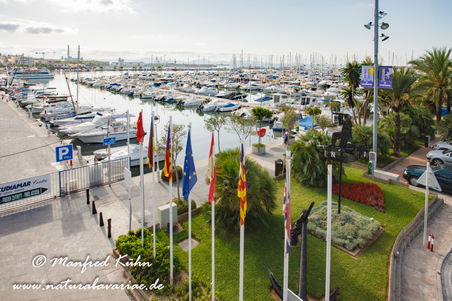 Mallorca (Spanien)_Alcudia-Jachthafen_0010