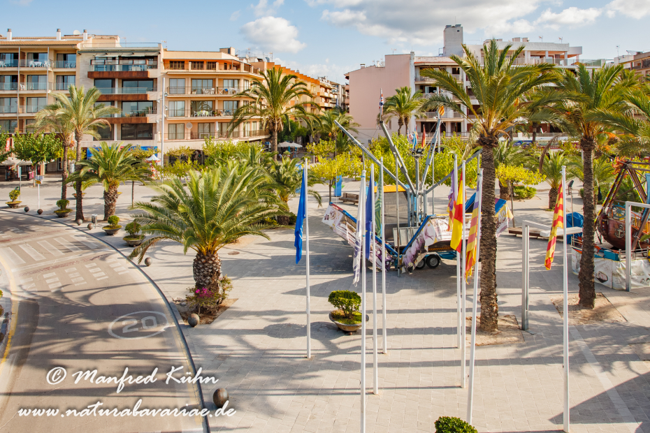 Mallorca (Spanien)_Alcudia-Jachthafen_0011