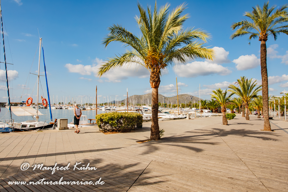 Mallorca (Spanien)_Alcudia-Jachthafen_0015