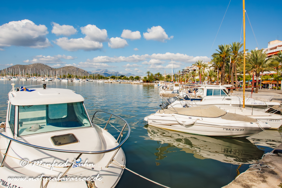 Mallorca (Spanien)_Alcudia-Jachthafen_0018