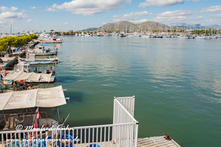 Mallorca (Spanien)_Alcudia-Jachthafen_0021