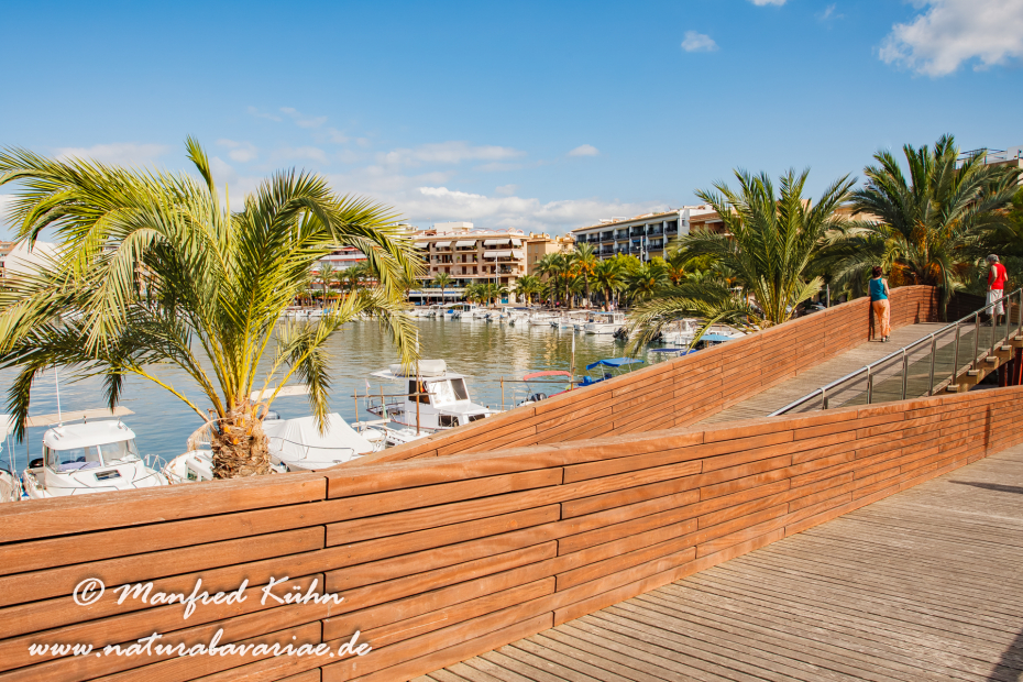 Mallorca (Spanien)_Alcudia-Jachthafen_0022