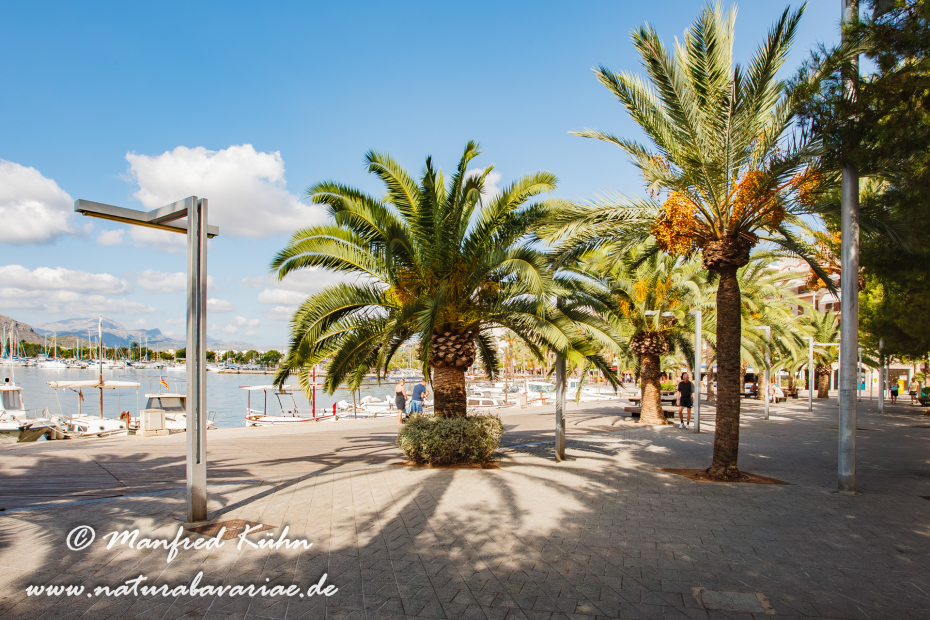 Mallorca (Spanien)_Alcudia-Jachthafen_0023