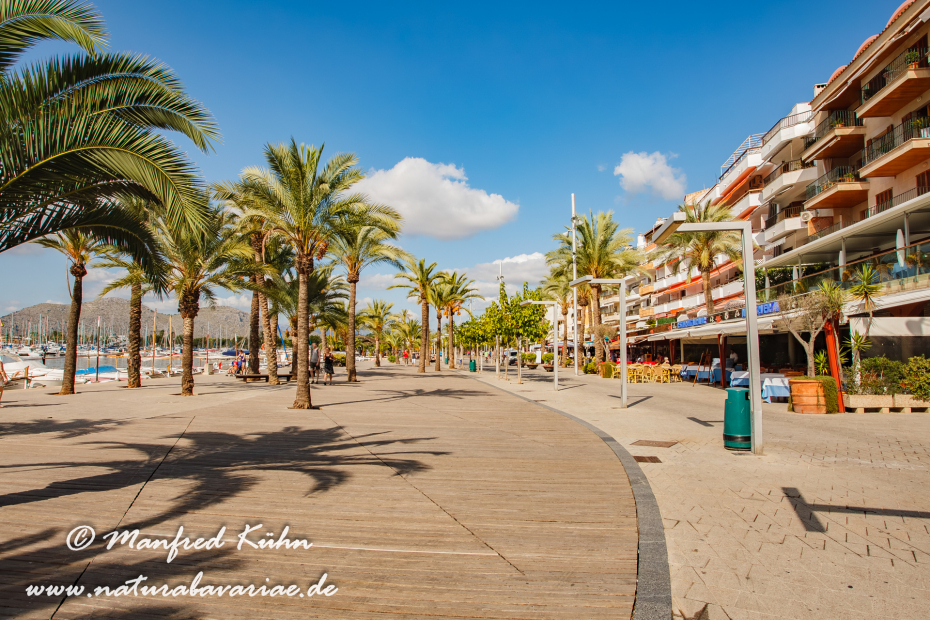 Mallorca (Spanien)_Alcudia-Jachthafen_0024
