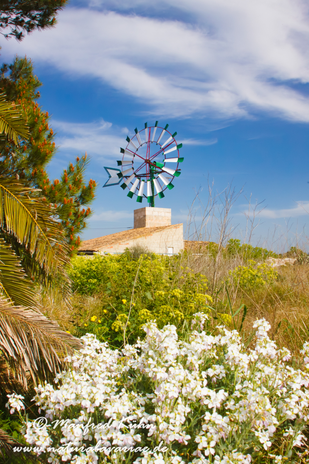 Mallorca (Spanien)_Süden_0001