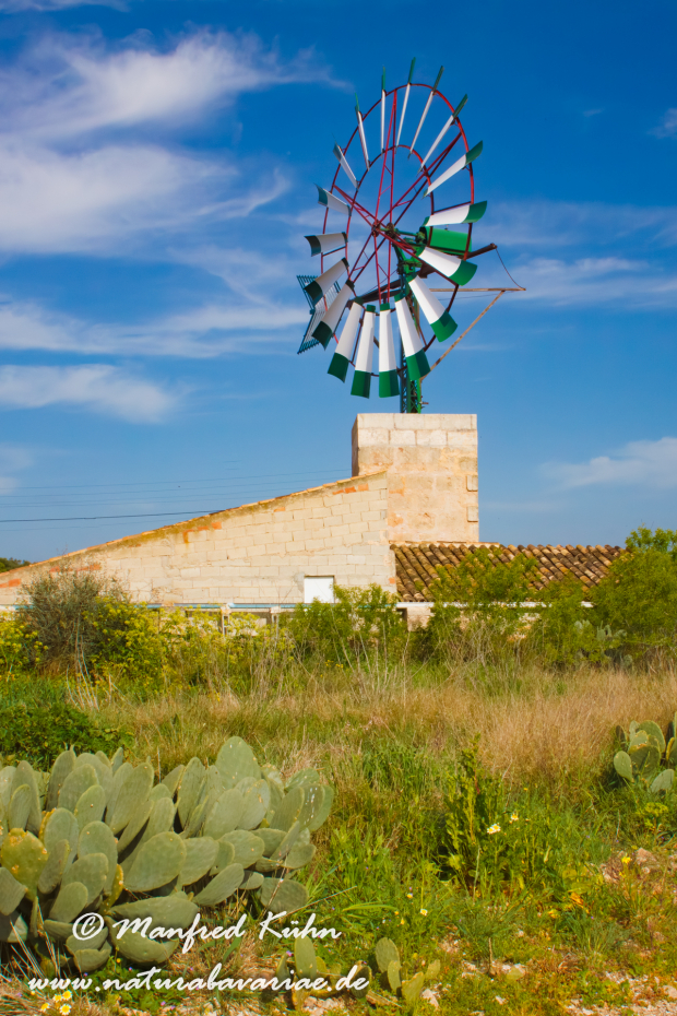 Mallorca (Spanien)_Süden_0003