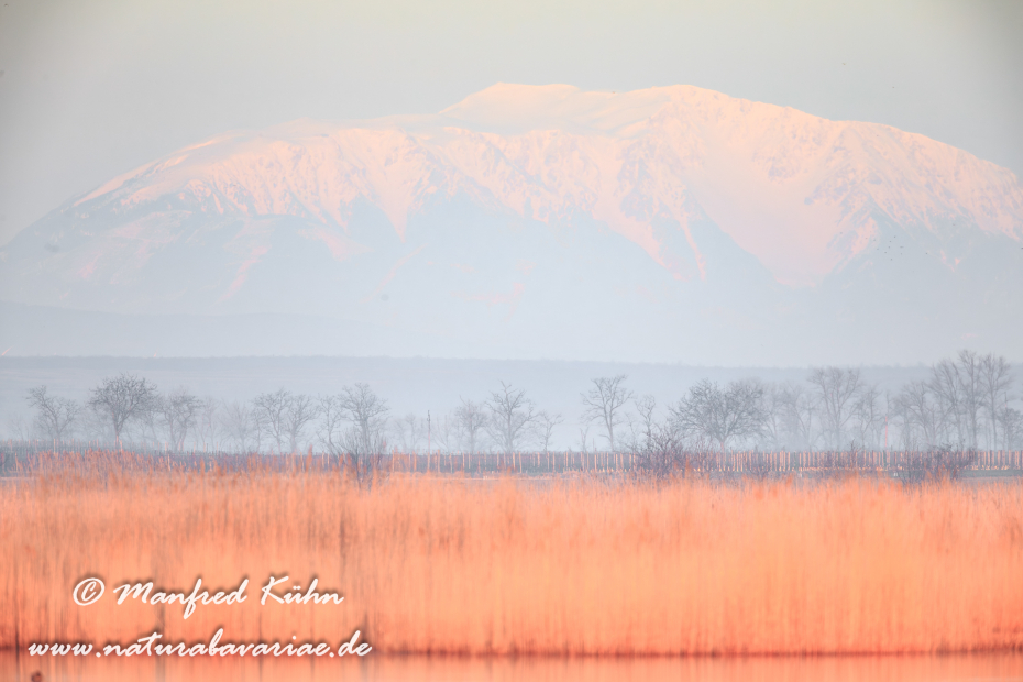 Neusiedler See (Österreich)_0016