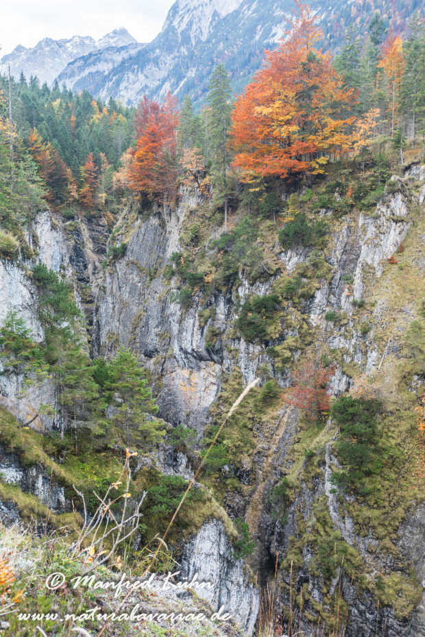 Kleiner Ahornboden (Oesterreich)_0004