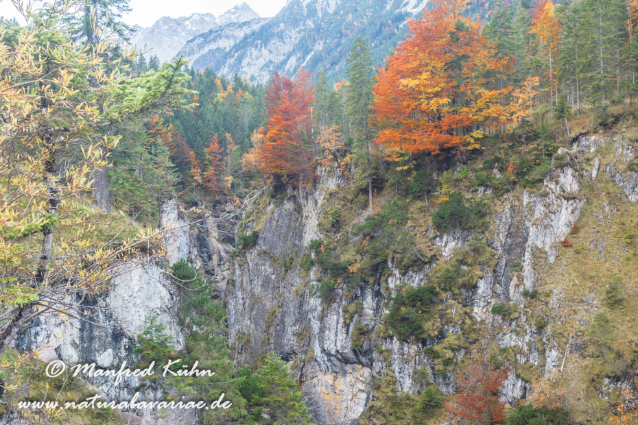 Kleiner Ahornboden (Oesterreich)_0007