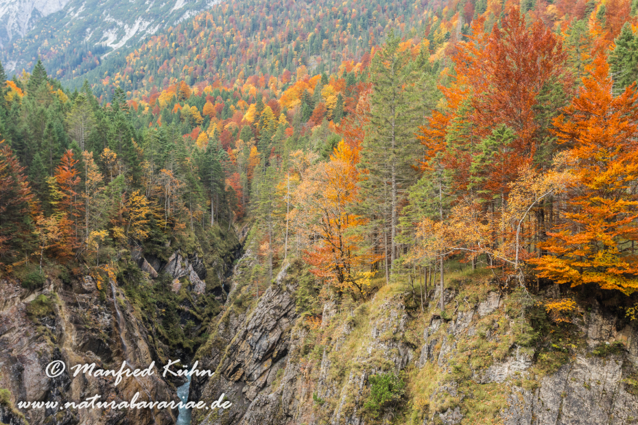 Kleiner Ahornboden (Oesterreich)_0009