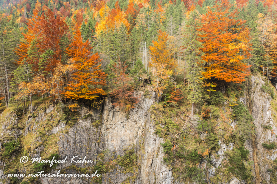 Kleiner Ahornboden (Oesterreich)_0010