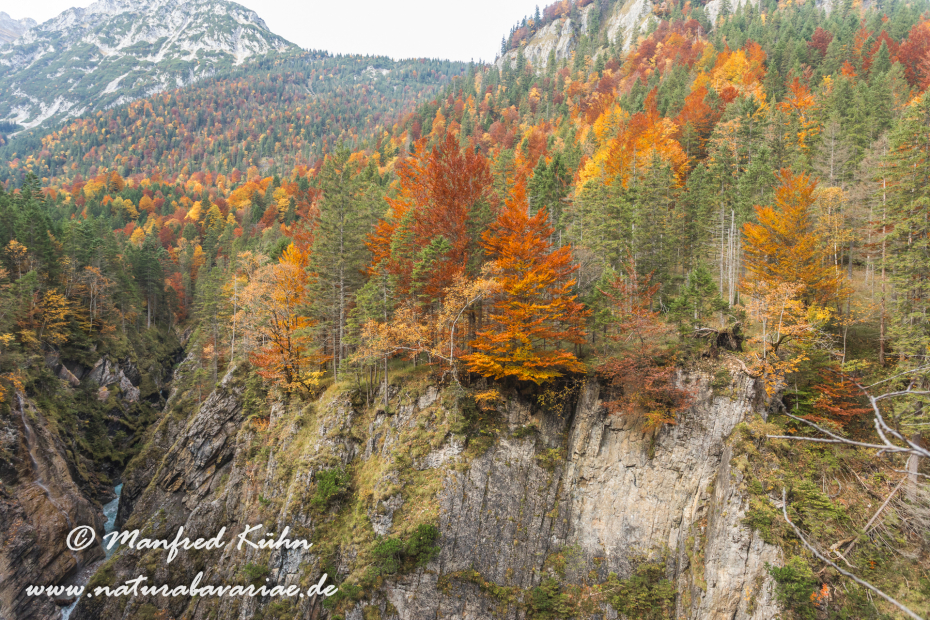 Kleiner Ahornboden (Oesterreich)_0013