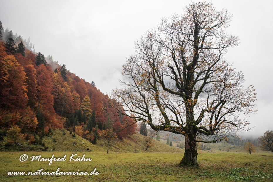 Großer Ahornboden (Österreich)_0014