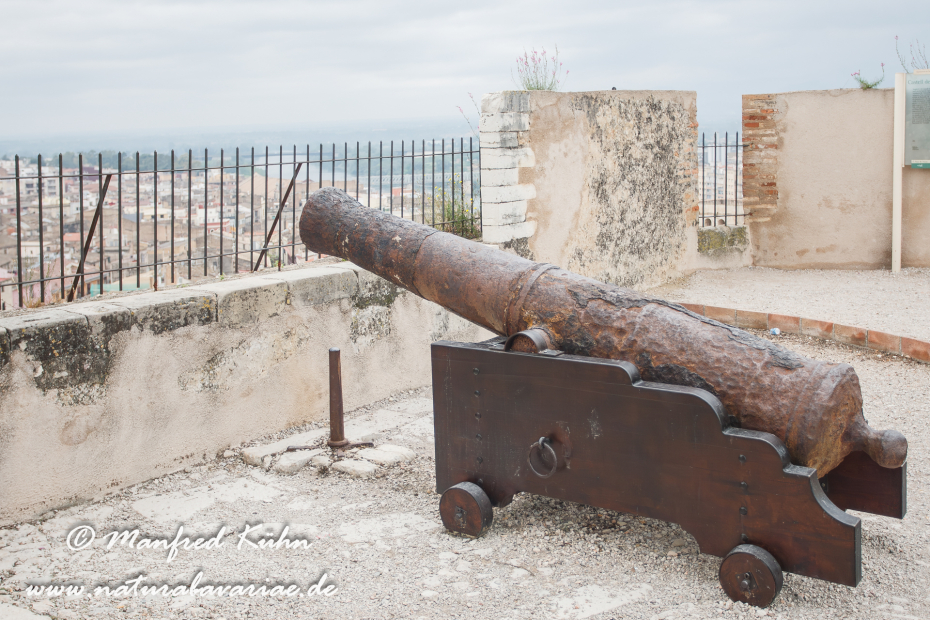 Ebrodelta (Spanien)_0011