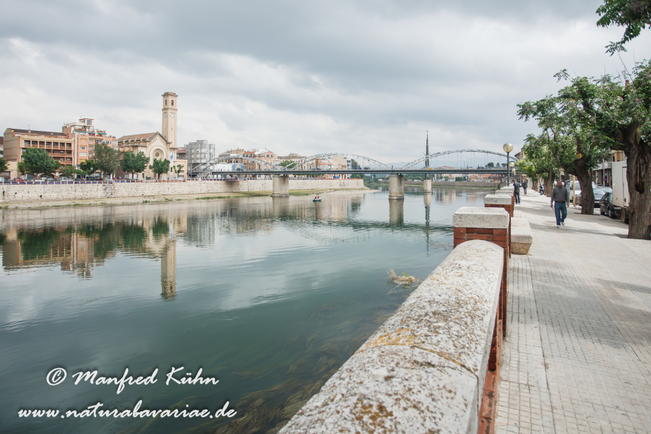 Ebrodelta (Spanien)_0019