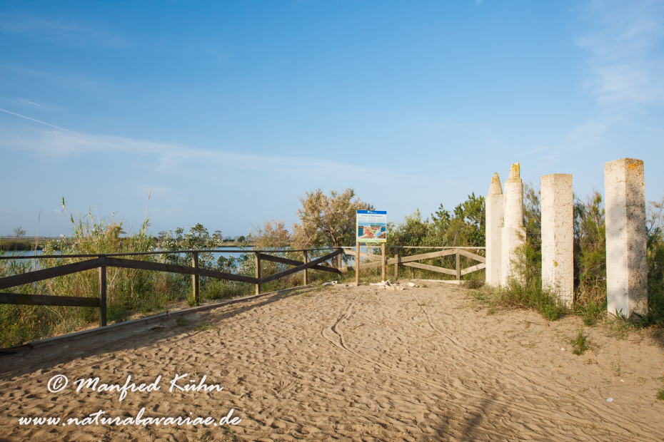 Ebrodelta (Spanien)_0022