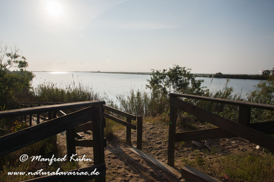 Ebrodelta (Spanien)_0023
