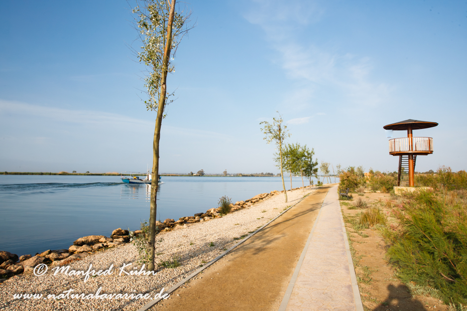 Ebrodelta (Spanien)_0025