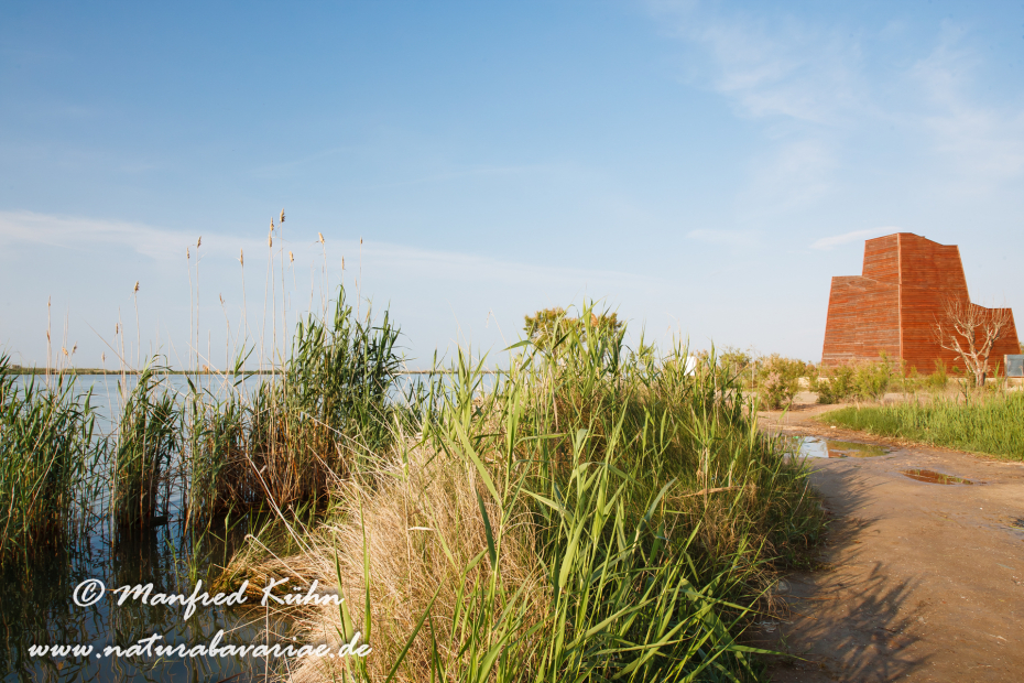 Ebrodelta (Spanien)_0027