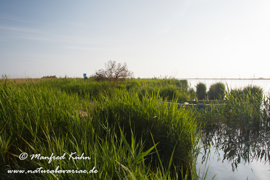 Ebrodelta (Spanien)_0028