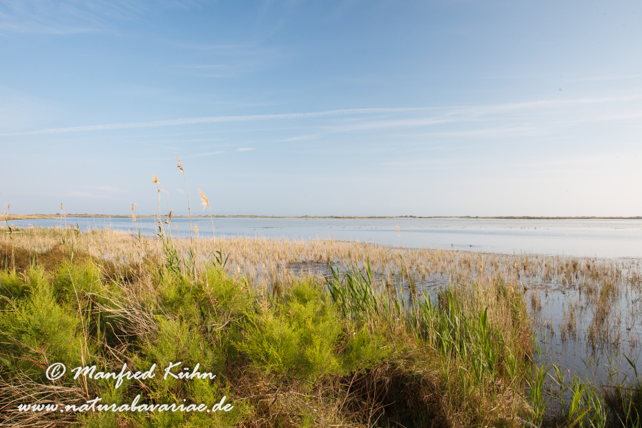 Ebrodelta (Spanien)_0030