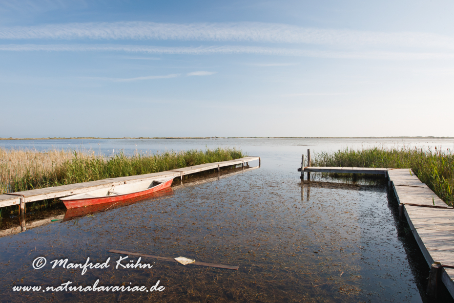 Ebrodelta (Spanien)_0031