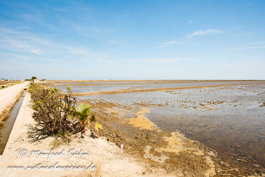 Ebrodelta (Spanien)_0040