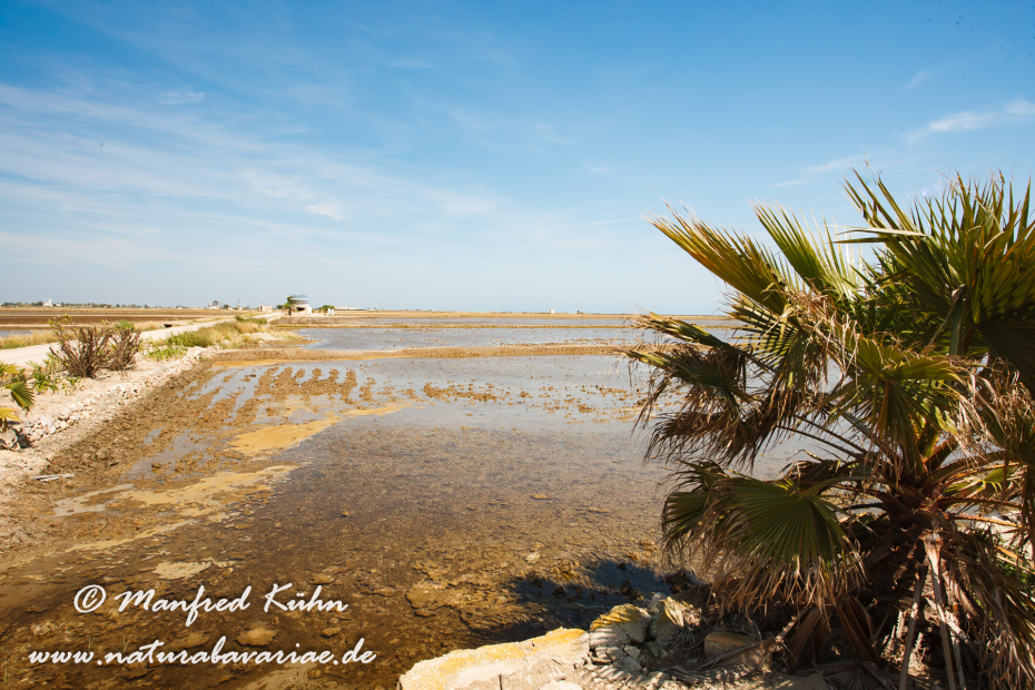 Ebrodelta (Spanien)_0041