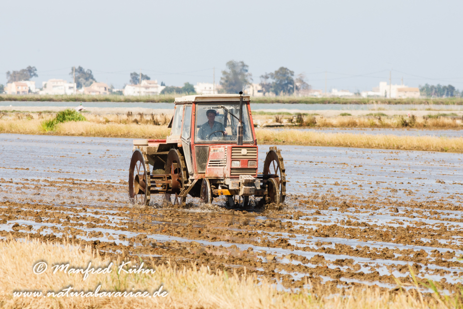 Ebrodelta (Spanien)_0044