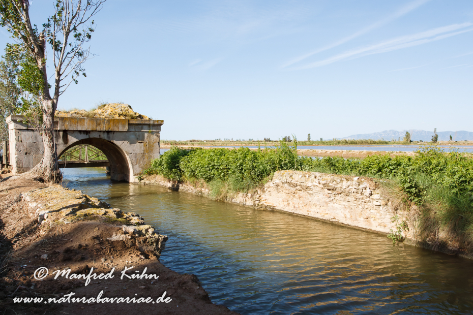 Ebrodelta (Spanien)_0046