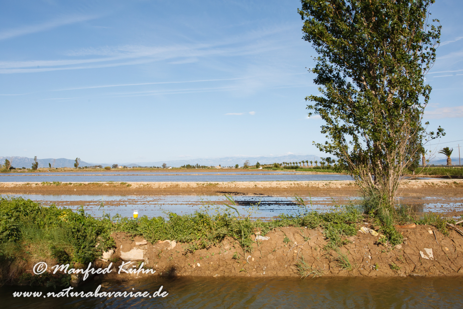 Ebrodelta (Spanien)_0047