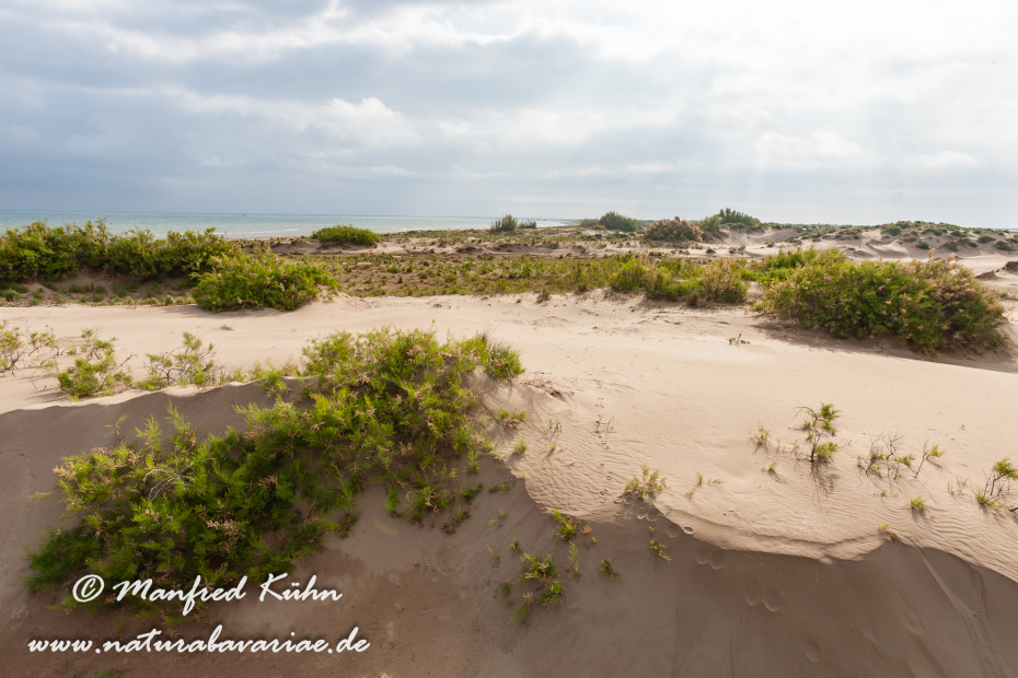 Ebrodelta (Spanien)_0049