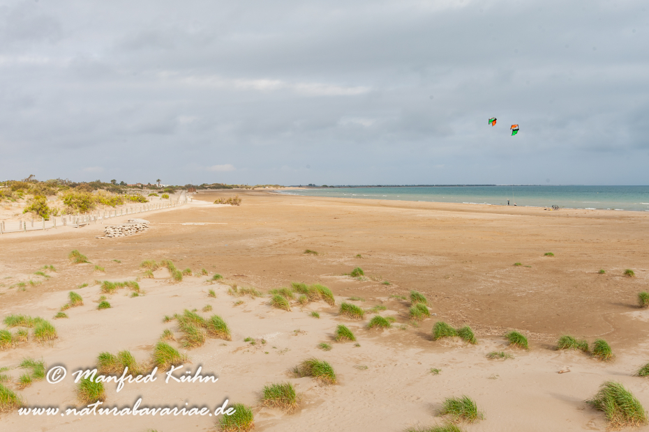 Ebrodelta (Spanien)_0051