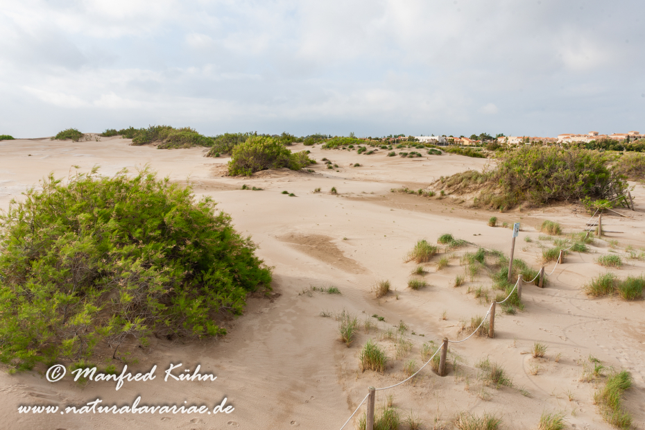 Ebrodelta (Spanien)_0052