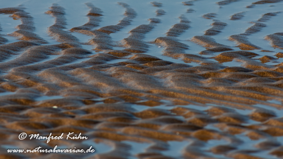 Ebrodelta (Spanien)_0053