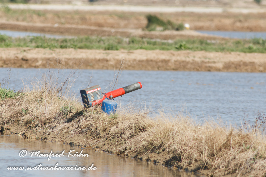 Ebrodelta (Spanien)_0092