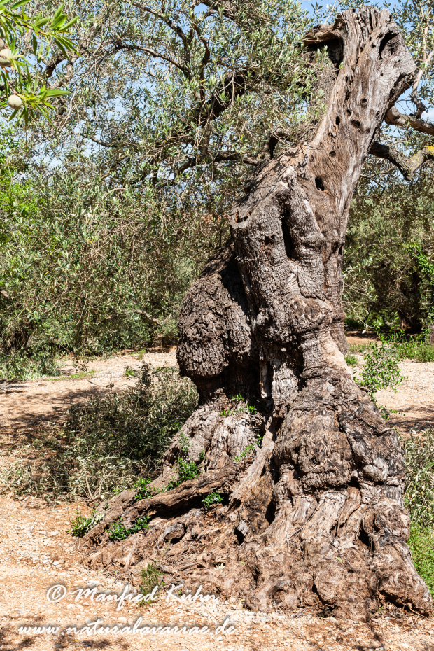 Ebrodelta (Spanien)_0094
