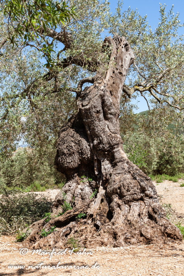 Ebrodelta (Spanien)_0095