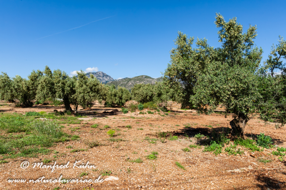 Ebrodelta (Spanien)_0098