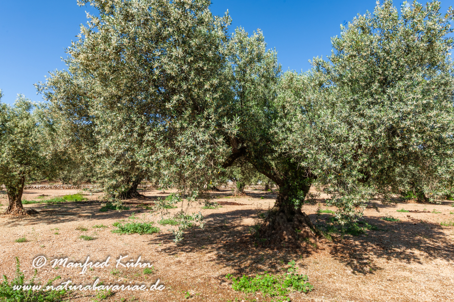 Ebrodelta (Spanien)_0100