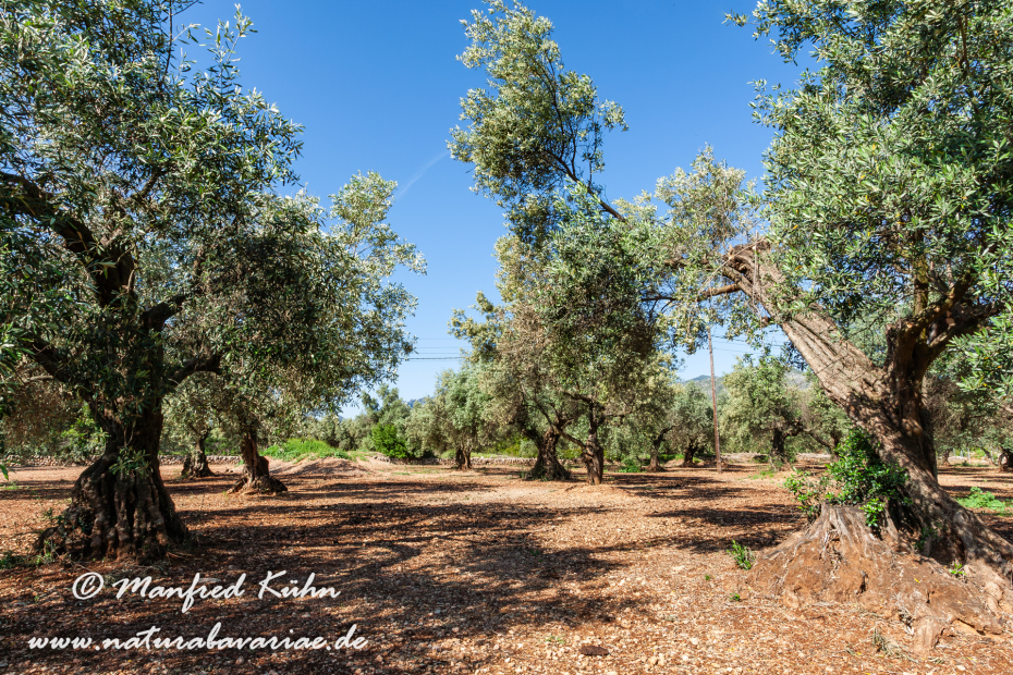 Ebrodelta (Spanien)_0101