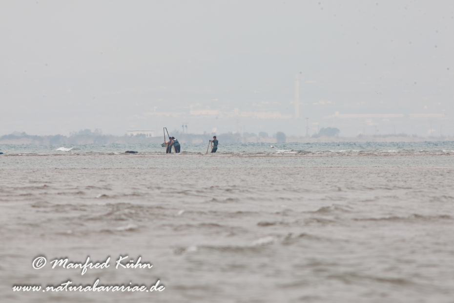 Ebrodelta (Spanien)_0104