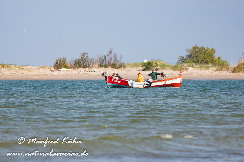 Ebrodelta (Spanien)_0105