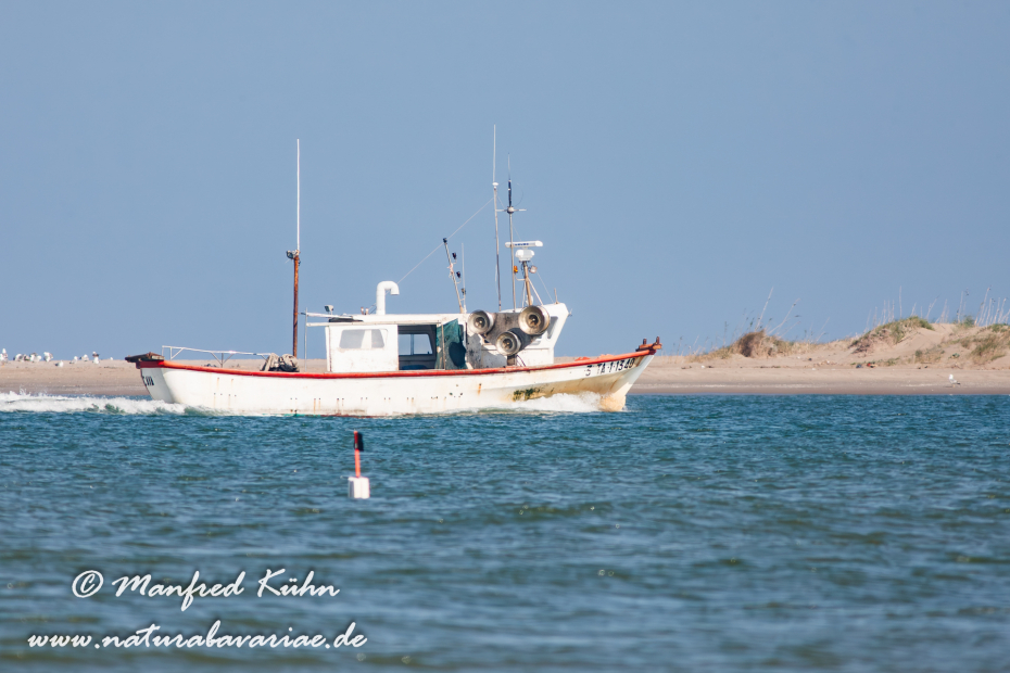 Ebrodelta (Spanien)_0106