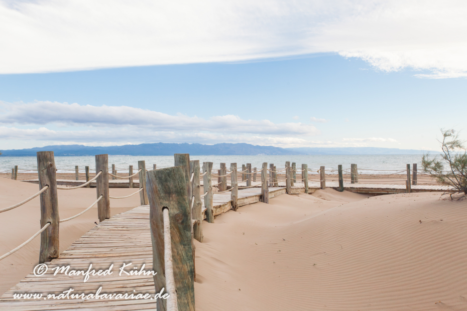 Ebrodelta (Spanien)_0120