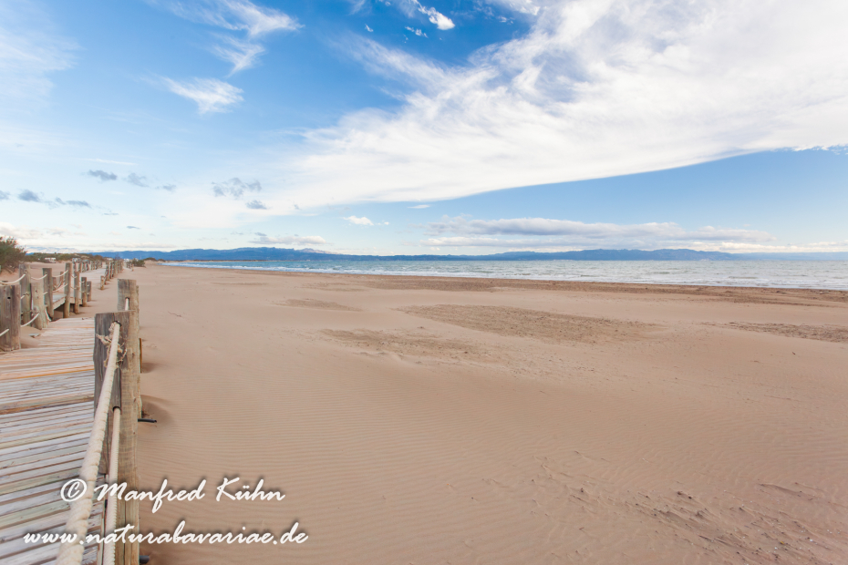 Ebrodelta (Spanien)_0122