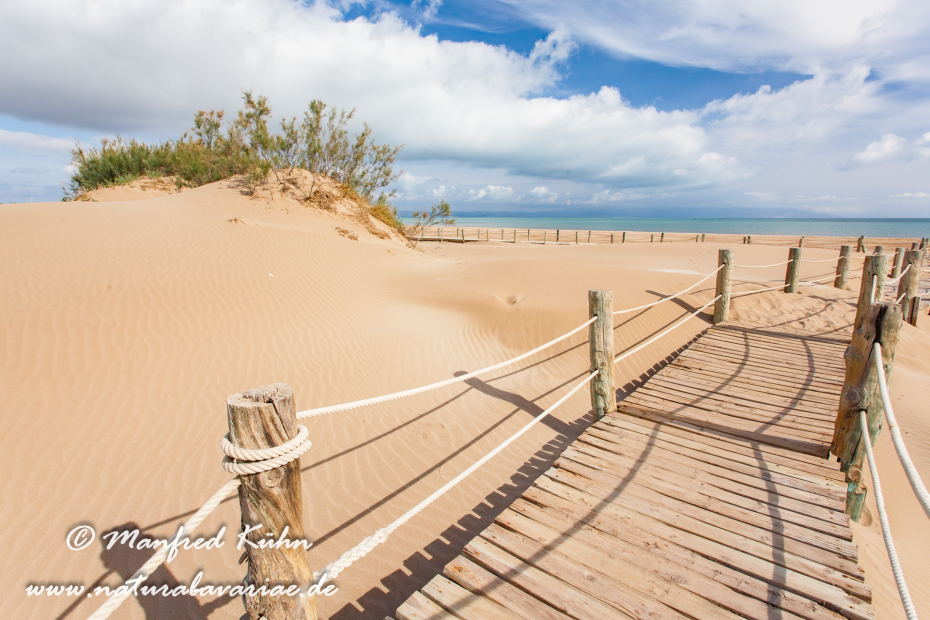 Ebrodelta (Spanien)_0124
