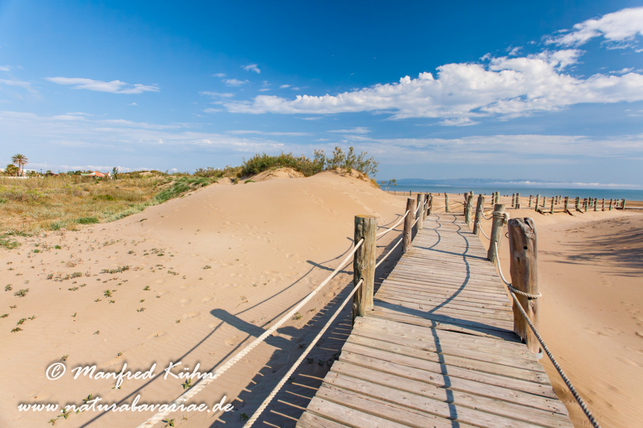 Ebrodelta (Spanien)_0125
