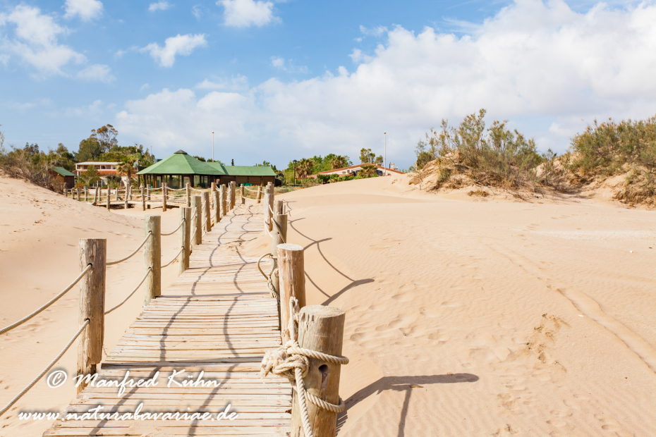 Ebrodelta (Spanien)_0126