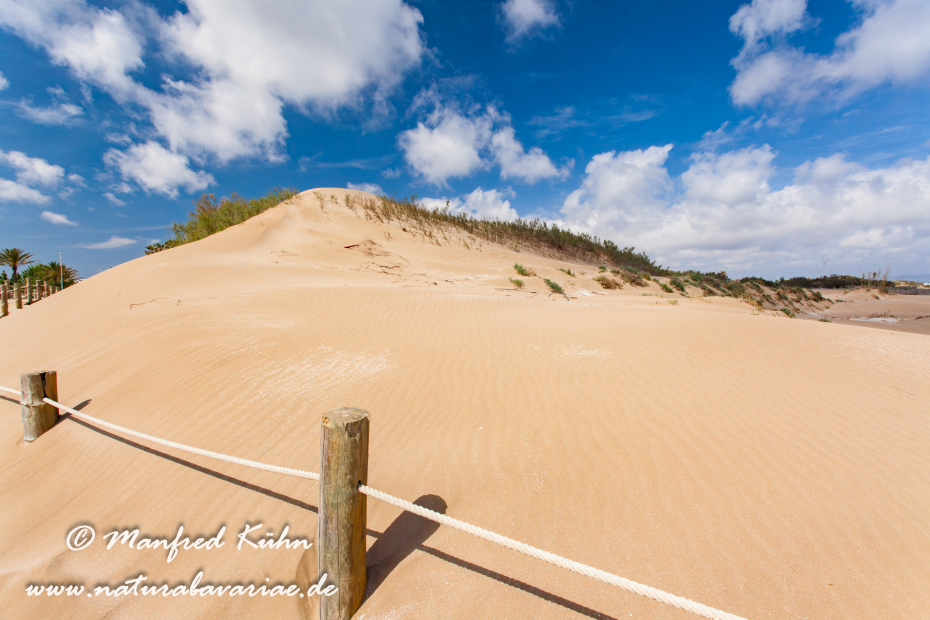Ebrodelta (Spanien)_0127